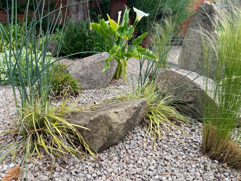 Stoneygate and Knighton Gardens